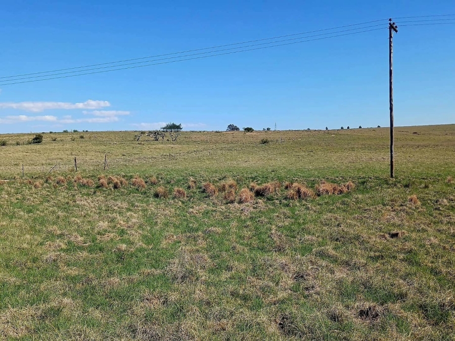 4 Bedroom Property for Sale in Senekal Rural Free State